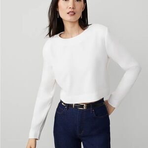 Ann Taylor Crew Neck Blouse